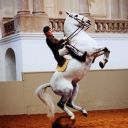 Spanish Riding School image
