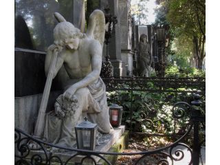 Zentralfriedhof (Central Cemetery) image
