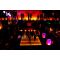King Kamehameha Club band live music image