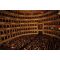 La Scala Opera image