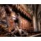 Saint-Pierre Cathedral image