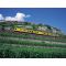 Lavaux wine region image