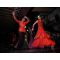 Flamenco shows - tickets on-line image