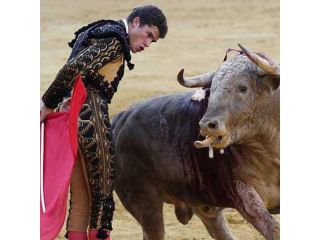 Bullfight show - tickets on-line image