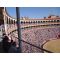 Bullfight show - tickets on-line image