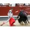 Bullfight show - tickets on-line image