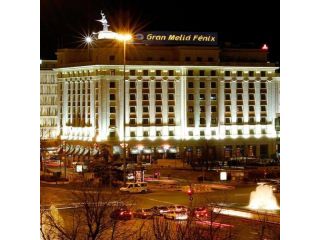 Grand Meliá Fenix image