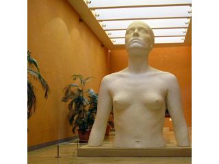 Thyssen-Bornemisza Museum image