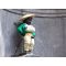 Manneken Pis image