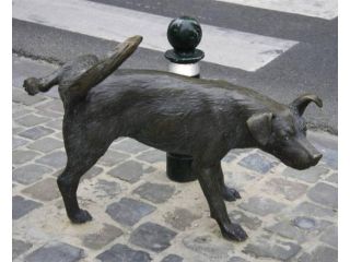 Zinneken Pis image