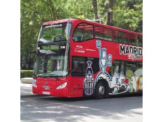 Madrid City Tour - bus excursions image