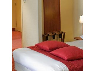 Hotel Amsterdam - De Roode Leeuw image