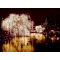 Tivoli Gardens - amusement park image