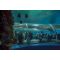 The Blue Planet Aquarium image