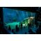 The Blue Planet Aquarium image