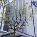 Hilton Copenhagen Airport hotel image