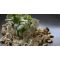 Formel B restaurant image