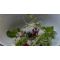 Formel B restaurant image