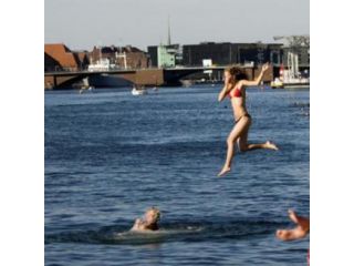 Private Guide Copenhagen image