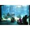 Oceanarium image