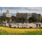 Olivia Plaza image