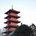 Chinese pavilion & Japanese Tower image