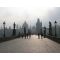 Charles Bridge image