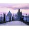 Charles Bridge image