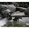 ZOO Garden image