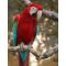 ZOO Garden image