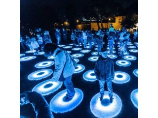 Signal Prague light festival image
