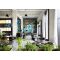 Amass restaurant image