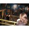 Underwater pub image