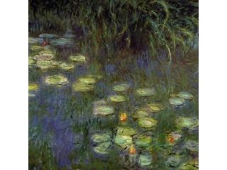 Musée de l'Orangerie image