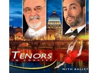 Italian Ticket Office: tickets for cultural events image