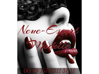 Neue-Escortmodelle Agency image