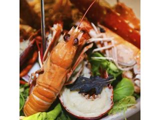 Lofoten Fiskerestaurant image