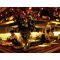 Kogo Ristorante - Italian cuisine image