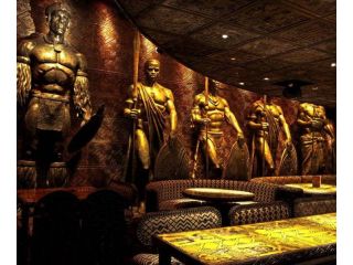 Shaka Zulu image