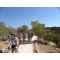 Pame Volta Tours image