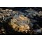 Acropolis image