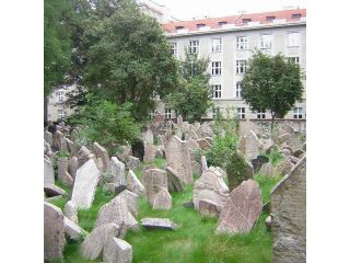 Old Jewish Cemetery image