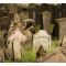 Old Jewish Cemetery image