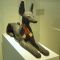 Egyptian museum & Papyrus collection image