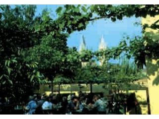 Hengl-Haselbrunner - wine tavern "Heuriger" image