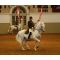 Spanish Riding School image