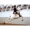 Spanish Riding School image