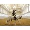Spanish Riding School image