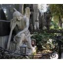 Zentralfriedhof (Central Cemetery) image