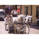 Wien Rundfahrten (Vienna City Tours) image